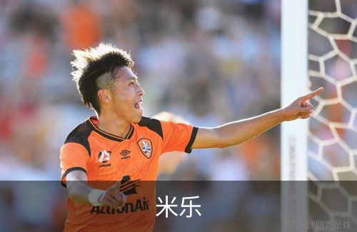 了解米乐